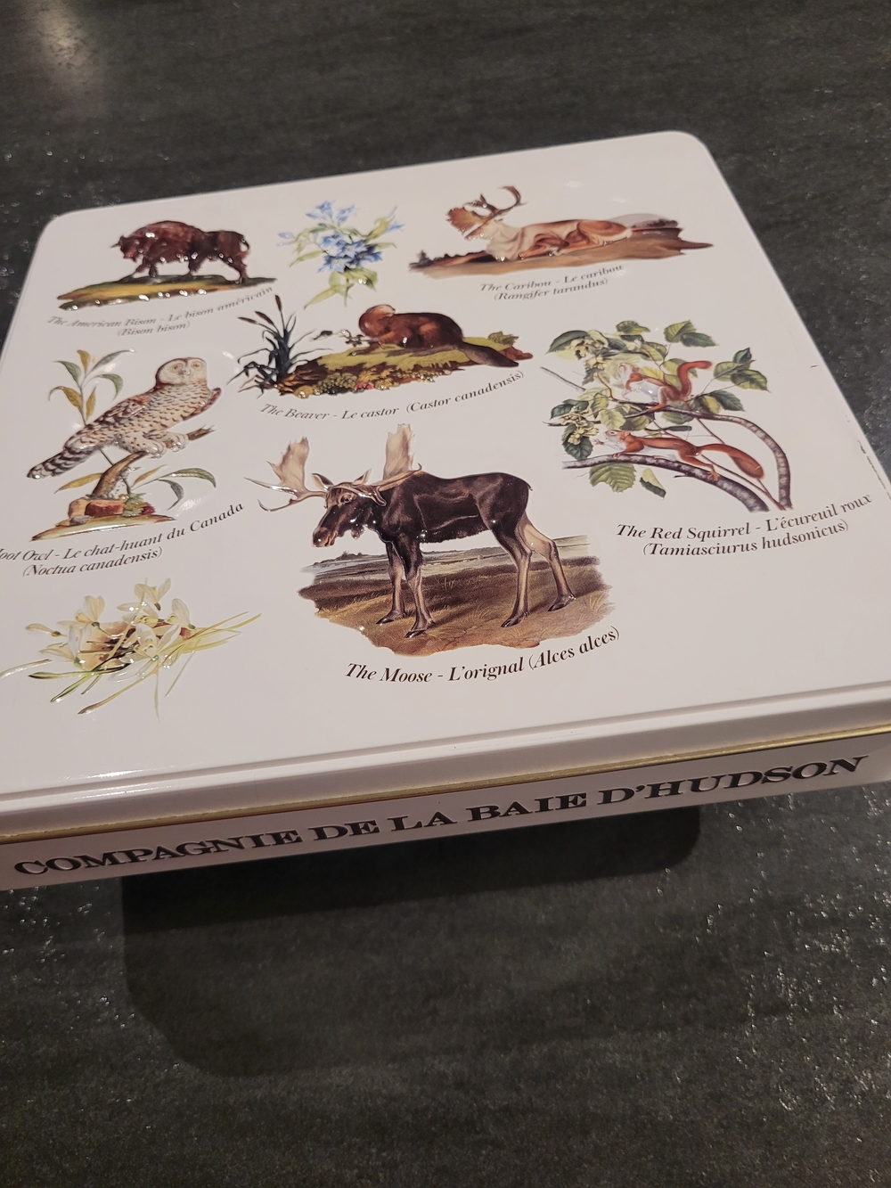 Hudson's Bay Company Wildlife Metal Tin 🇨🇦  Vintage Collectible